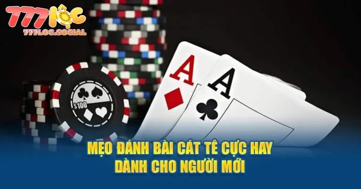Chiến thuật chơi bài catte 777loc hiệu quả cho tân binh